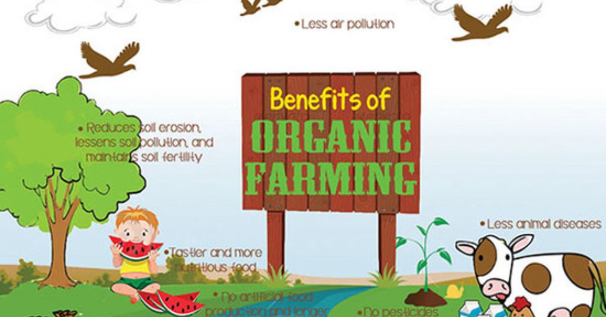 the-benefits-of-organic-farming-for-pakistani-farmers