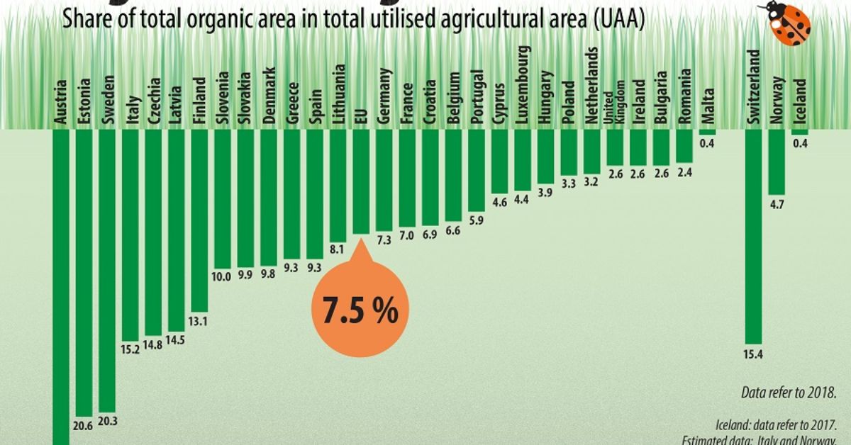 why-organic-farming-is-growing-in-popularity-in-pakistan